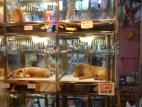 Wochenende 13-14 Sept 009_thumb.jpg